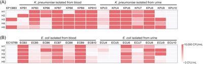 Host heterogeneity in humoral bactericidal activity can be complement independent